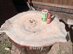 350+ Rings RARE Saw Cut! Old Growth Ancient Sinker Cypress Wall Art Wood Cookie