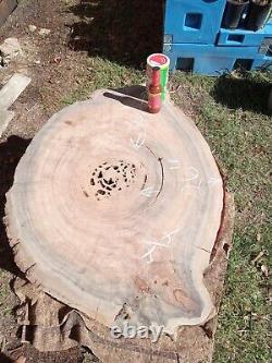 350+ Rings RARE Saw Cut! Old Growth Ancient Sinker Cypress Wall Art Wood Cookie