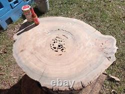 350+ Rings RARE Saw Cut! Old Growth Ancient Sinker Cypress Wall Art Wood Cookie