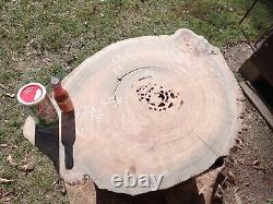 350+ Rings RARE Saw Cut! Old Growth Ancient Sinker Cypress Wall Art Wood Cookie