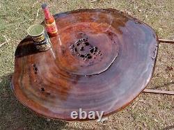 350+ Rings RARE Saw Cut! Old Growth Ancient Sinker Cypress Wood Cookie Table