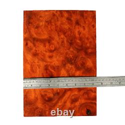 Amboyna Burl Exotic wood Cutting board Blanks DIY woodworking 8X 12X 7/8 #690