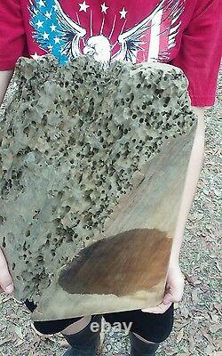 Ancient Exotic Burl Sinker Cypress Wood Bowl Blank Rare WET Green Ready to Cut