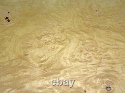 Ash Burl White wood veneer 24 x 48 with paper backer 1/40 thickness AA grade