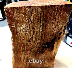 #Au1223 SPALTED AUTOGRAPH WOOD, TURNING WOOD, PEN BLANKS, SCALES, BOWL, CARVING