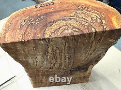 #Au1223 SPALTED AUTOGRAPH WOOD, TURNING WOOD, PEN BLANKS, SCALES, BOWL, CARVING