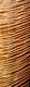 Awesome Wide Board! Extreme 5a Luthier Guitar Quilted Tiger Curly Maple Lumber