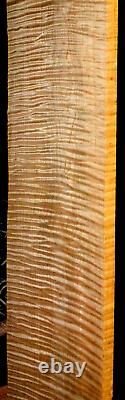 Awesome Wide Board! Extreme 5a Luthier Guitar Quilted Tiger Curly Maple Lumber