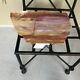 Beautiful 12 Arizona Rainbow Petrified Wood Slab Rip Cut Plank