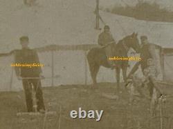 C1900 4 Photos SING SING Armed Prison Officials On Horseback Cutting Wood Church