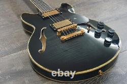 Double Cut Semi-Hollow Small Body Guitar Black Burst