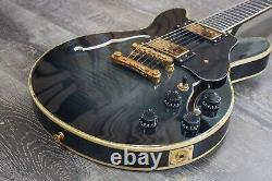 Double Cut Semi-Hollow Small Body Guitar Black Burst