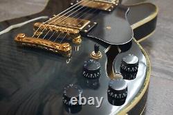 Double Cut Semi-Hollow Small Body Guitar Black Burst