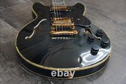 Double Cut Semi-Hollow Small Body Guitar Black Burst