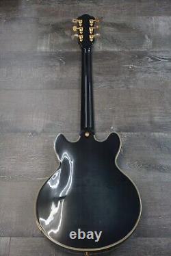 Double Cut Semi-Hollow Small Body Guitar Black Burst