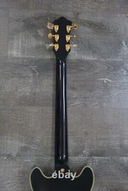 Double Cut Semi-Hollow Small Body Guitar Black Burst