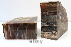 Fossil stone wood, pair cut and polished book ends, with natural wood patterns