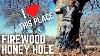 Free Firewood Haul Back At The Firewood Honey Hole