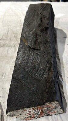 Gabon Ebony Log Segments-You Cut to Size-22 lbs Exotic Wood (Item 382B)