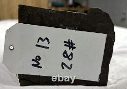 Gabon Ebony Log Segments-You Cut to Size- 28 lbs Exotic Wood (Item 13)