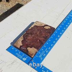 Honduran Rosewood Burl G1 1.25x5.25x9 Blank Wood for Woodworking Projects