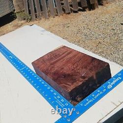 Honduran Rosewood Burl G1 2.75x7x11.875 Blank Wood for Woodworking Projects