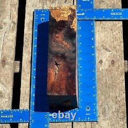 Honduran Rosewood Burl G2 2.924x2.883x10.922 Blank Wood for Woodworking Projects