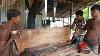 Kauri Wood Agathis Australis Wood Cutting Hand Machine Dangerous Ways Of Kauri Wood Cutting At Asia