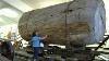 Latest Technology Automatic Wood Sawmill Smart Machine Extreme Cutting Chainsaw Tree Easy