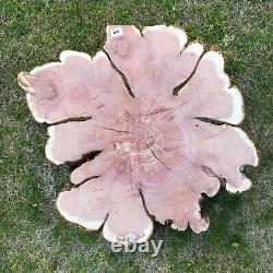 Live Edge Cedar Slab spalted wood slice table top round Epoxy Slab Thick Cut