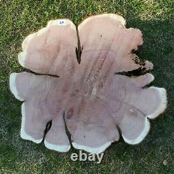 Live Edge Cedar Slab spalted wood slice table top round Epoxy Slab Thick Cut