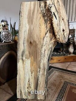 Live Edge Pecan Slab/ DIY Spalted Table Top- PLANED- Crotch Cut Wood- 66P -J&R