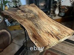 Live Edge Pecan Slab/ DIY Spalted Table Top- PLANED- Crotch Cut Wood- 81P -J&R