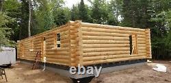 Log cabin log walls white cedar log 12'' diameter pre cut milled round big cedar