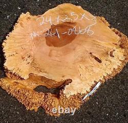 Maple Burl Slab Cookie Cut Craft Woods DIY River Table MA24-0868