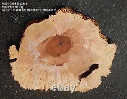 Maple Burl Slab Cookie Cut Craft Woods DIY River Table MA24-0868