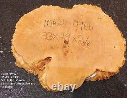 Maple Burl Slab Cookie Cut Craft Woods DIY River Table MA24-0966