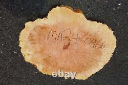 Maple Burl Slab Cookie Cut Craft Woods DIY River Table MA24-0966