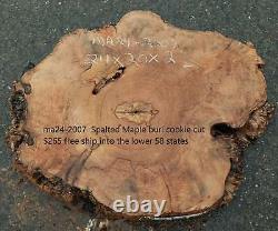 Maple Burl Slab Craft Wood DIY Cookie Cut Ma24-2007