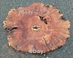 Maple Burl Slab Craft Wood DIY Cookie Cut Ma24-2007