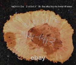 Maple Burl Slab Craft Woods DIY Cookie Cut MA24-1412