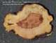 Maple Slab Live Edge Cookie Cut Diy Craft Wood Ma24-1646