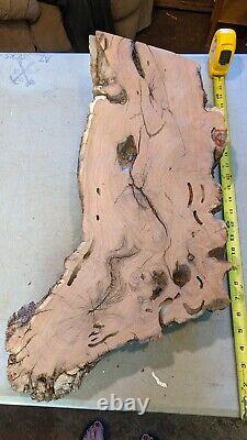 Mesquite burl wood end-cut. Live edge. Rough saw cut