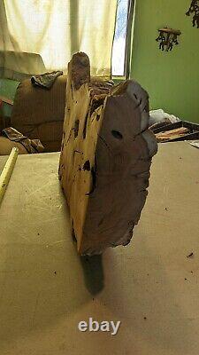 Mesquite burl wood end-cut. Live edge. Rough saw cut