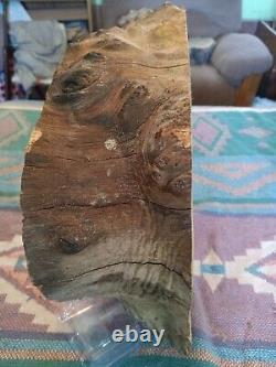 Mesquite burl wood end cut. Live edge. Rough saw cut
