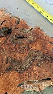 Mesquite burl wood end-cut. Live edge. Rough saw cut