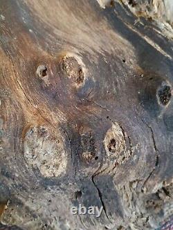 Mesquite burl wood end-cut. Live edge. Rough saw cut