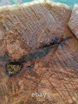 Mesquite burl wood end cut. Live edge. Rough saw cut
