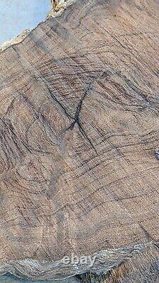 Mesquite burl wood end cut. Rough saw cut. End cut