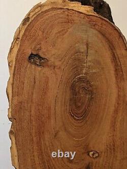 Mesquite burl wood slab live edge. Rough saw cut